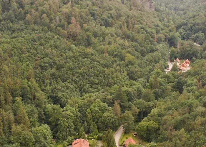Ferienhaeuser Am Brocken, 60 Qm, 2 Schlafzimmer *